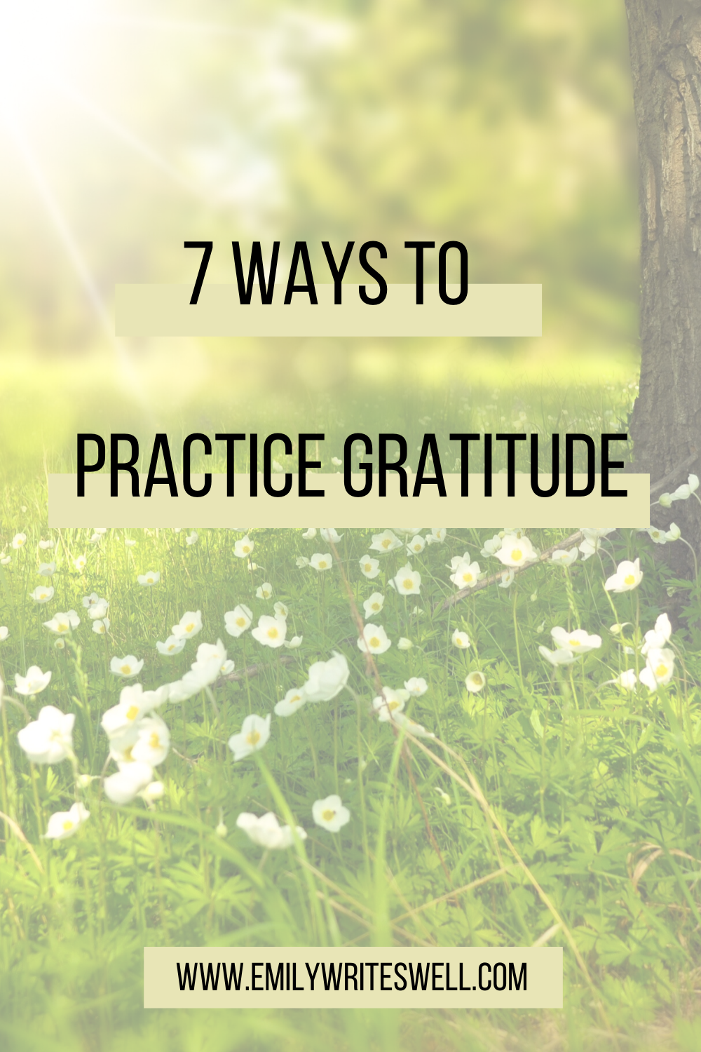 flowers in a green field with sunshine and a text overlay that reads 7 ways to practice gratitude